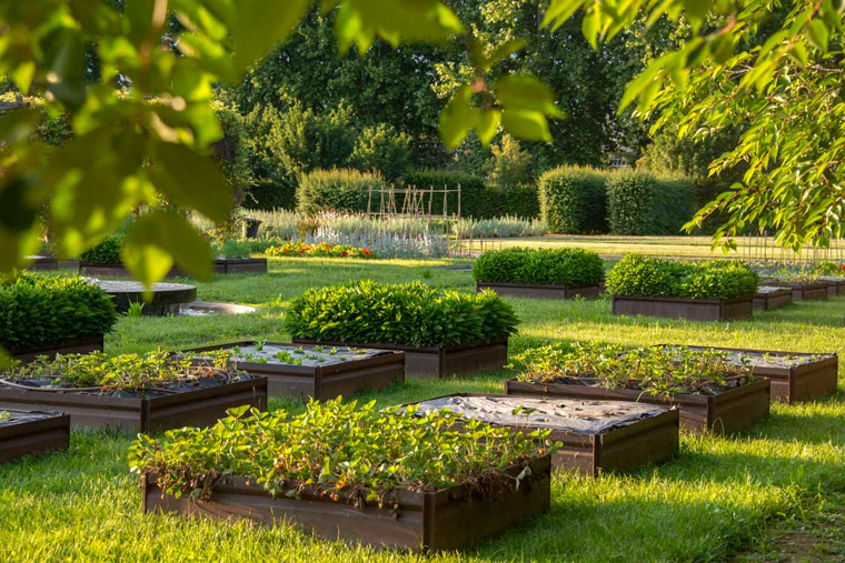 Potager Royal, cubotti di verdura e fioriture. Foto di Dario Fusaro